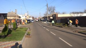 У Смілі на Чорновола озеленили відремонтовану ділянку дороги