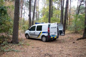 муміфіковане тіло виявив мисливець