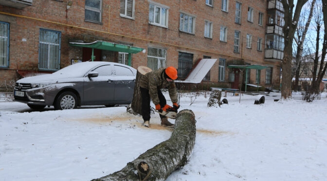 Обрізання дерев узимку. За яких умов працюють бригади «Нової якості» та чи безпечно це?
