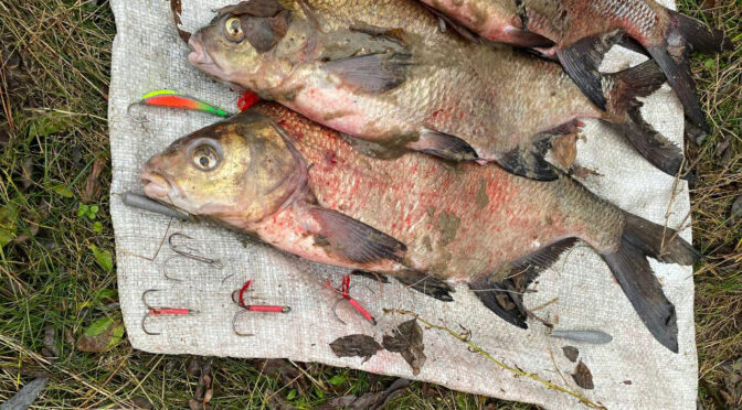 На Черкащині рибалки продовжують вилов риби з порушенням законодавства