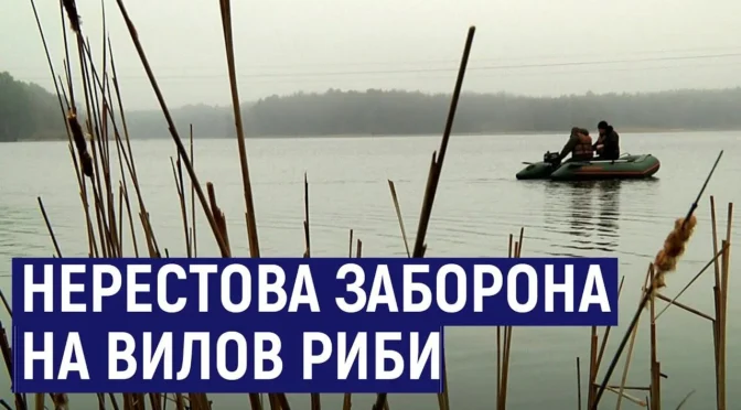 1 квітня розпочинається період нерестової заборони — Черкаський рибоохоронний патруль