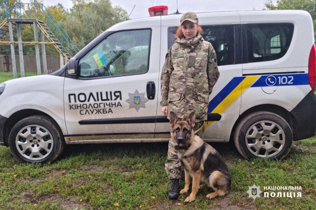 Поліцейська вівчарка знайшла зловмисника, який переховувався після вбивства свого знайомого