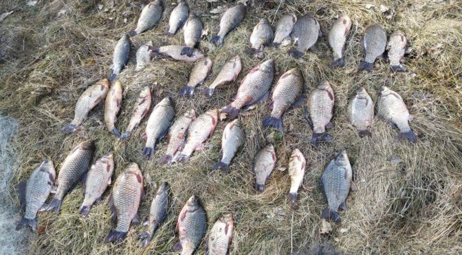 Неподалік Худяків водний патруль вловив браконьєрів зі свіжовиловленою рибою на 95 тис. грн