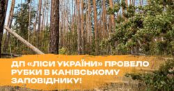 ДП «Ліси України» незаконно провели рубки в Канівському заповіднику — Українська Природоохоронна Група