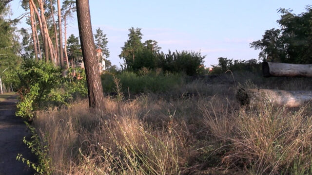 0309_lisova_prosika3