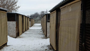 Як у Черкасах рятують безхатніх тварин. Подробиці роботи комунального Центру порятунку тварин