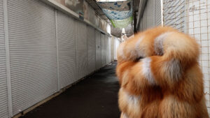 Криваліївка — символ занепаду малого підприємництва в Черкасвах: ринок, що повільно вмирає