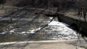 На вулиці Береговій знову великий скид в акваторію Кременчуцького водосховища брудних стоків із запахом фекалій