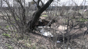 У районі «Д» хтось під’єднався до зливового колектора і каналізаційні стоки без очищення роками напряму потрапляють у Дніпро