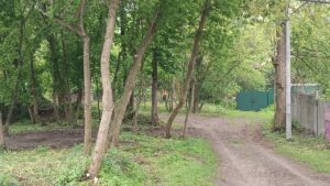 Комунальники наводять лад у провулку біля Замкового узвозу, де за ініціативи міського голови планують облаштувати сквер