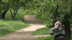 У Черкасах у районі «Д» планують створити новий сквер із прогулянковою зоною, дитячими та спортивними майданчиками, а також модульним укриттям на випадок повітряної тривоги
