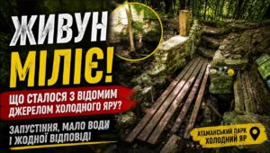 Живун у Холодному Яру обмілів, а територія навколо нього занепадає