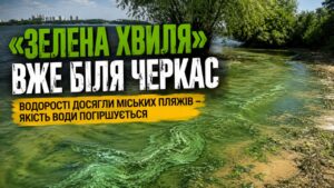 Вода в Дніпрі біля Черкас починає цвісти