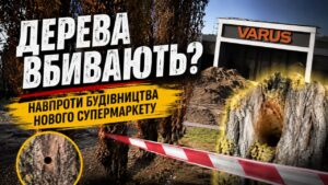 У Черкасах навпроти будівництва нового супермаркету VARUS на проспекті Перемоги всохли дерева. І це навряд чи можна назвати випадковістю