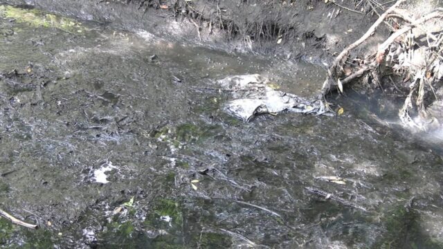 0109_skydy5